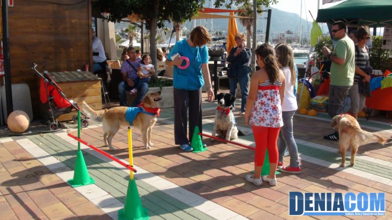 Los niños aprenden perroterapia en el festival Mascotetes de Dénia
