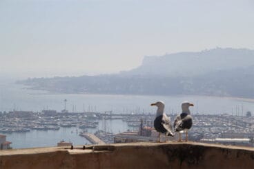 Maraton Fotografico Juniors 04