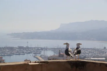 Maraton Fotografico Juniors 04