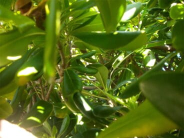 Maraton Fotografico Juniors 08