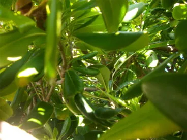 Maraton Fotografico Juniors 08