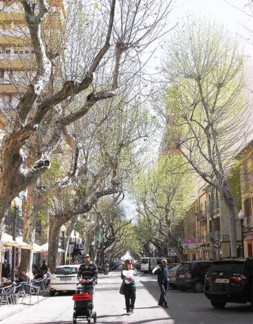 Maraton Fotografico Juniors 09