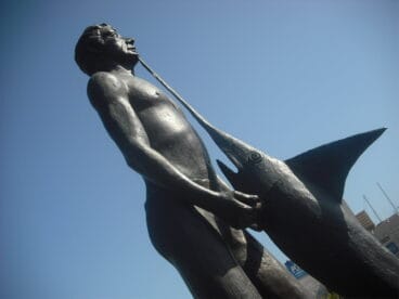 Maraton Fotografico Juniors 10