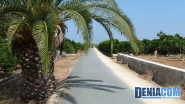 Palmera Vía Verde
