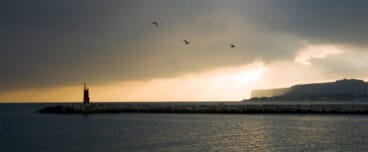 Primer Premio Color – Paco Serra