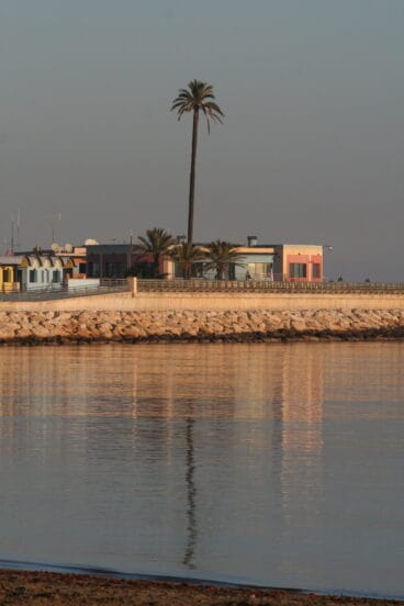 Vista del puerto deportivo Marina de Dénia