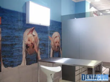 Clínica Veterinaria Dénia – Veterinario en Dénia