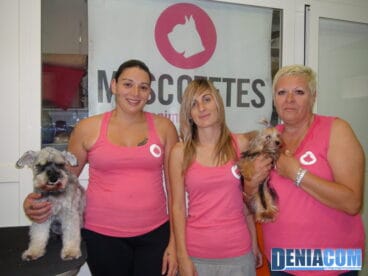 Equipo de Mascotetes