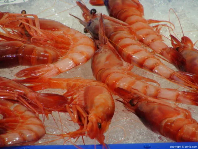 Mercado Municipal de Dénia Gamba Roja