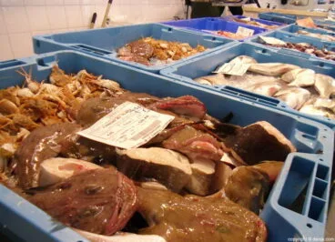 Mercat de Dénia – Compra de pescado