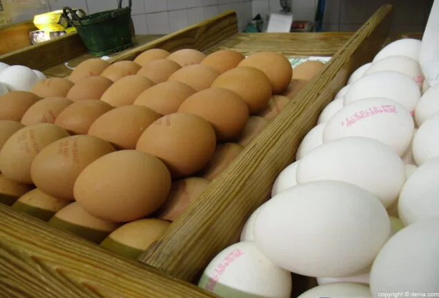 Mercat de Dénia huevos