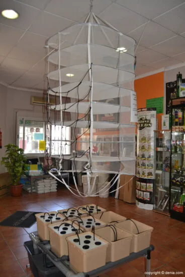 Productos para el cultivo de semillas – Maria de la Oh!