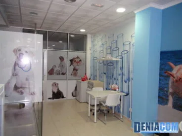 Veterinarios en Dénia – Clínica Veterinaria Dénia