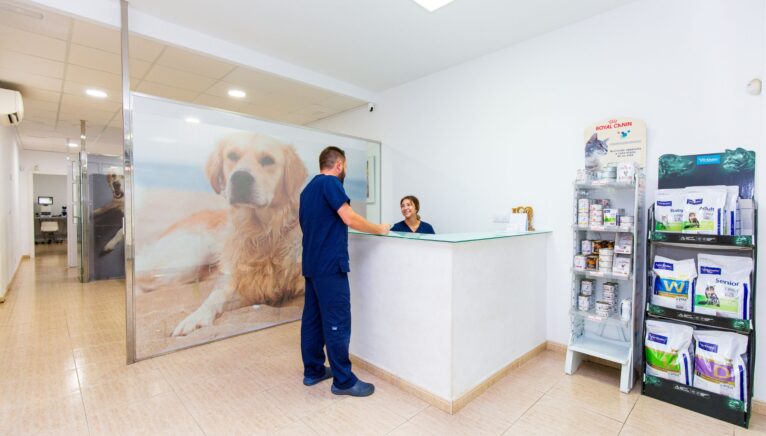 Animal care center in Dénia