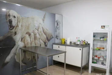 Clínica Veterinària Dénia sala