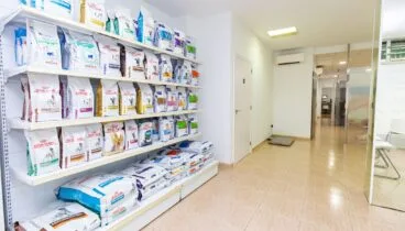 Encuentra los mejores piensos para tus mascotas