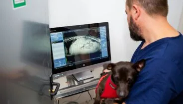 Equipo médico especializado en radiografías