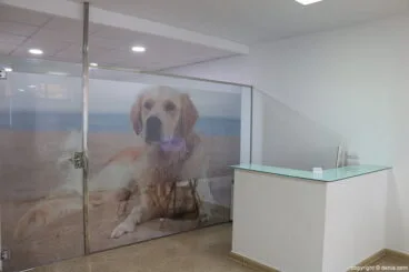Mostrador Clínica Veterinària Dénia