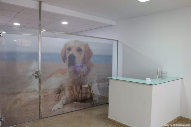 mostrador clinica veterinaria denia