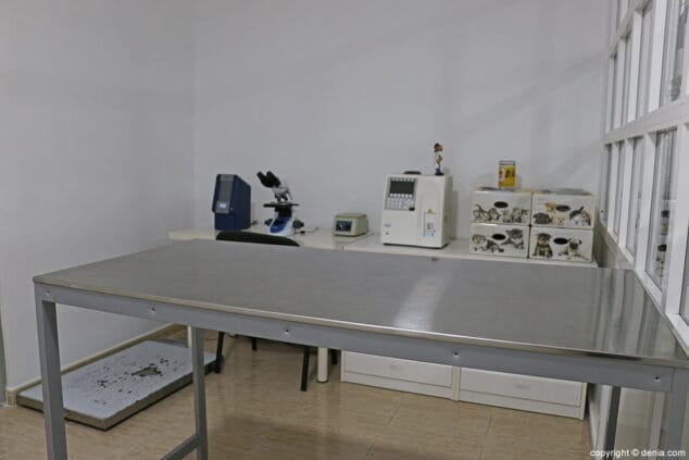 sala clinica veterinaria denia