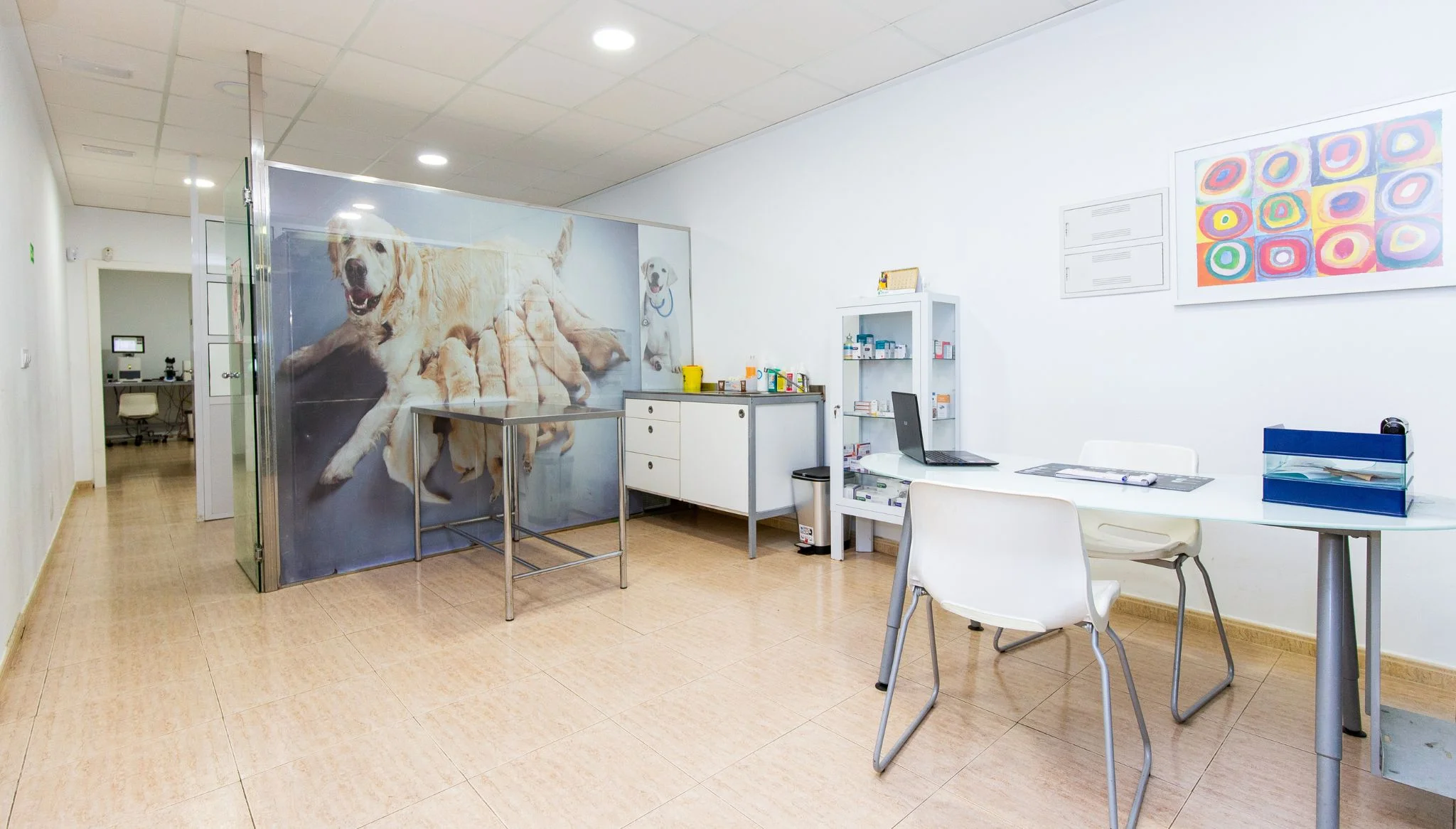 Sala de consulta de Clínica Veterinària Dénia