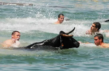 Bous a la mar