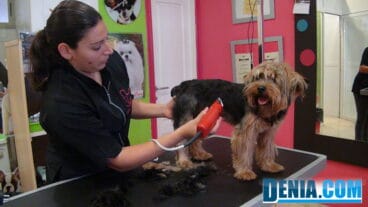 Peluquería canina Mascotetes Dénia