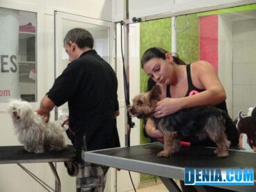 Salón Spa para el cuidado de tus mejores amigos en Mascotetes