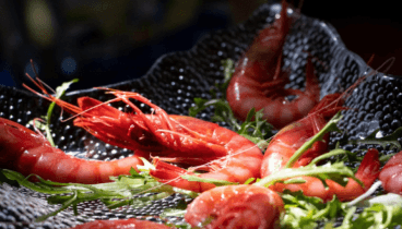 Gamba roja de Dénia fresca de la lonja local