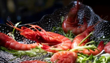 Gamba roja de Dénia fresca de la lonja local