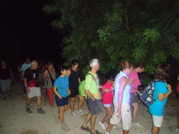 Excursiones nocturnas en Dénia