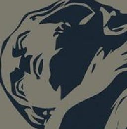 Expressions del patrimoni