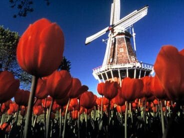Holanda