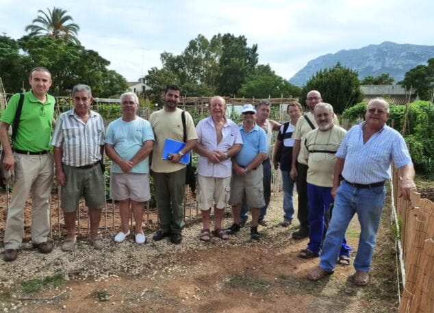 Los huertos urbanos de Dénia son ejemplo para Torrevieja