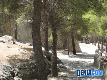 Los pinos marcan los caminos internos del Castillo de Dénia