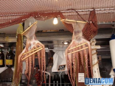 Secando pulpo en Ecodenia 2012