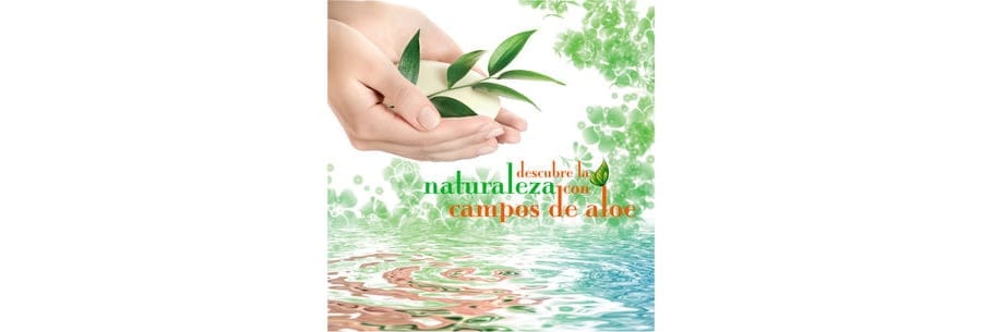 Camps de Aloe