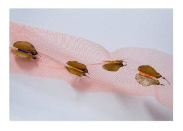 Exposición Fe de vida en Dénia