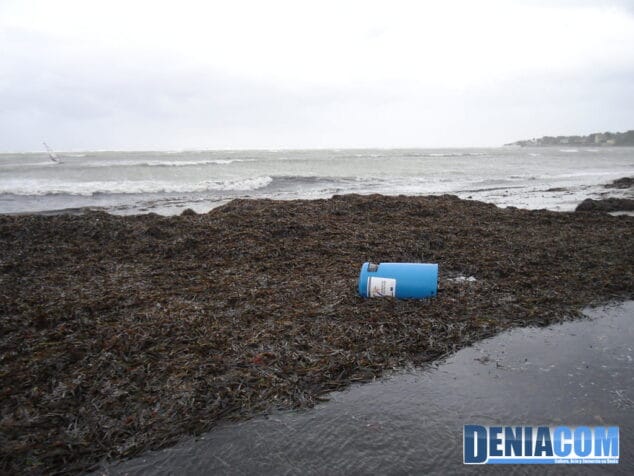 Playa de la Marineta Cassiana Algas tras el temporal