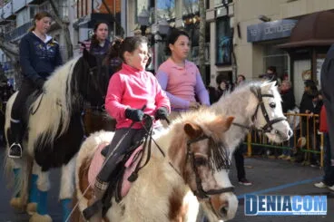 Bendición de animales en Dénia 2013 13