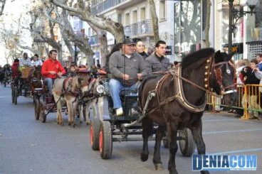 Bendición de animales en Dénia 2013 14