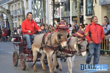 Bendición de animales en Dénia 2013 15