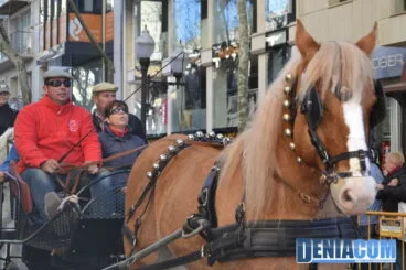 Bendición de animales en Dénia 2013 17