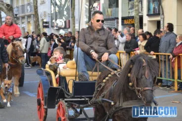 Bendición de animales en Dénia 2013 19