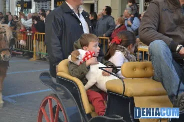 Bendición de animales en Dénia 2013 20