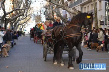 Bendición de animales en Dénia 2013 22