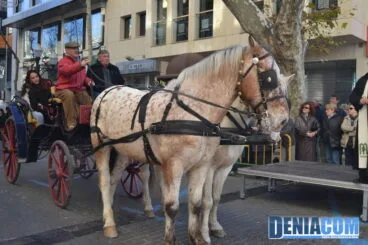 Bendición de animales en Dénia 2013 23