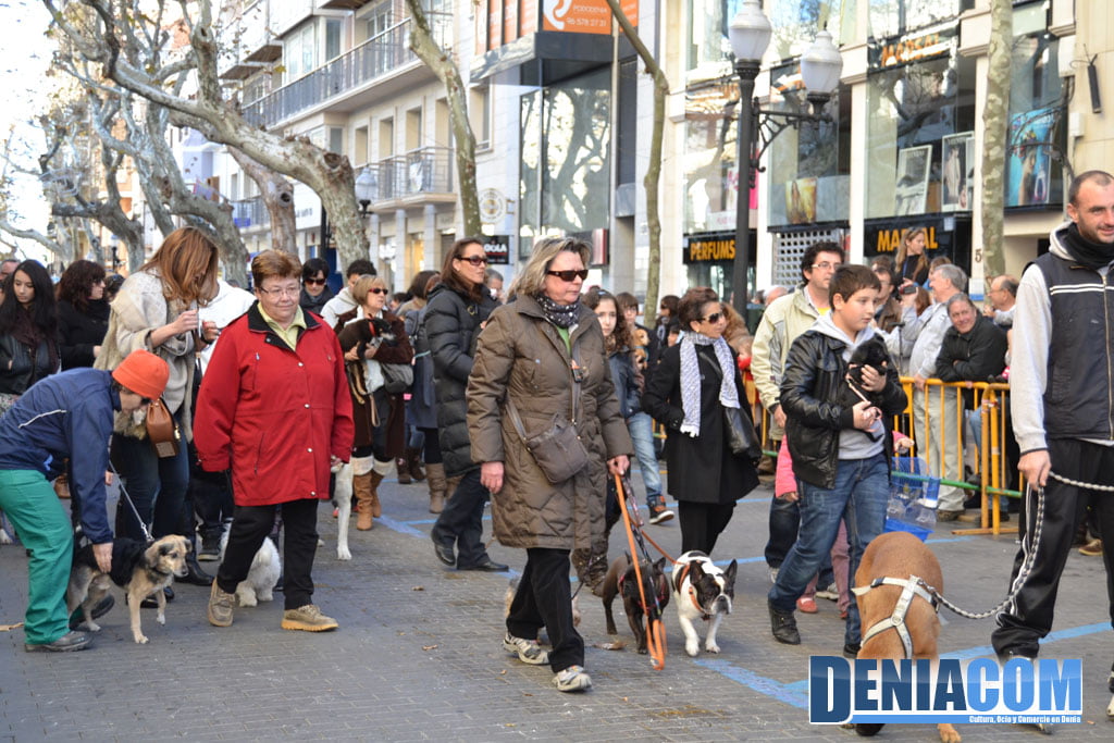 Bendición de animales en Dénia 2013 25