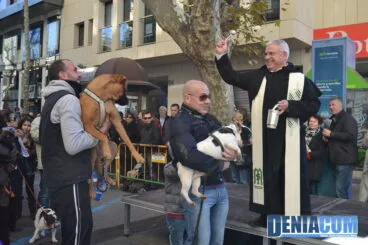 Bendición de animales en Dénia 2013 26