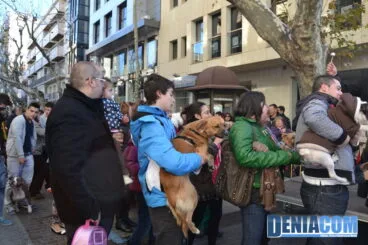 Bendición de animales en Dénia 2013 27